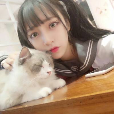宠兽萌消vivo版下载